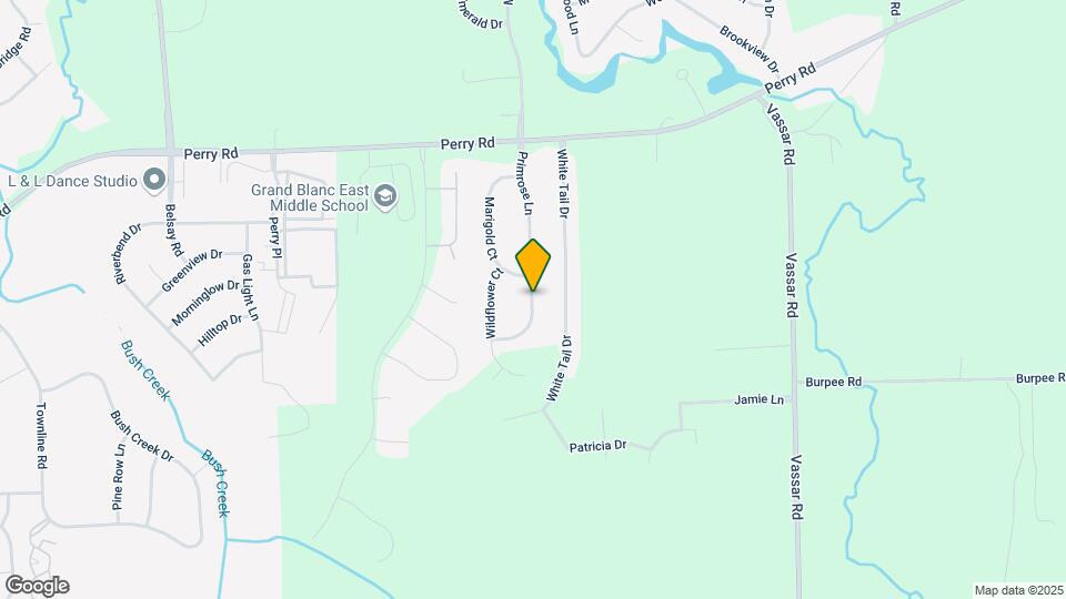 7193 Primrose Ln Map and Location Details