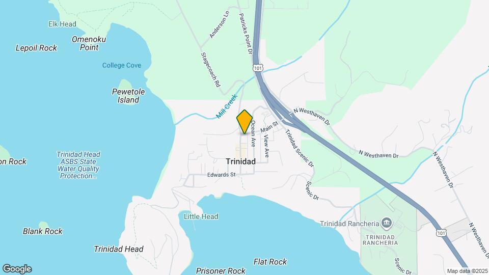 311 Trinity St Mapa y Detalles de la Ubicación