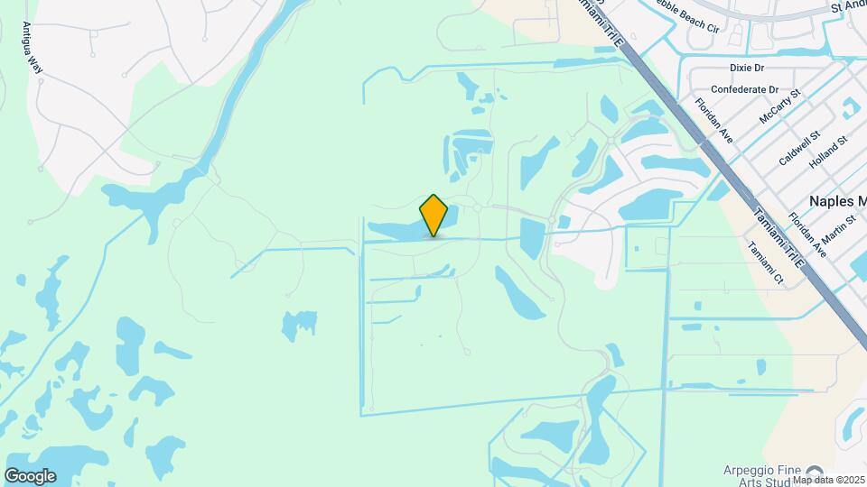 9517 Avellino Wy Mapa y Detalles de la Ubicación