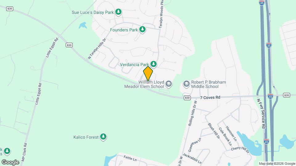 206 Elianne Lace Ct Map and Location Details