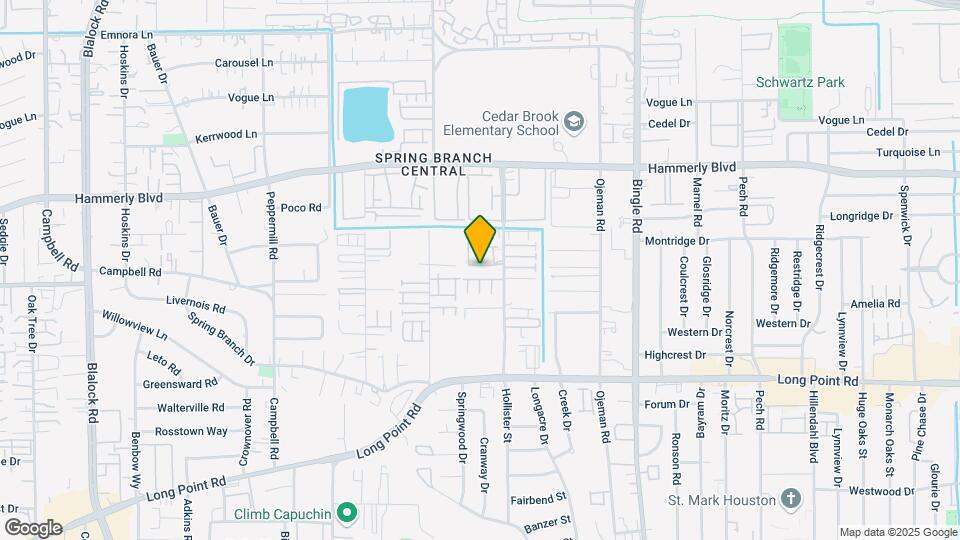 8919 RoseWood Grove Ln Map and Location Details