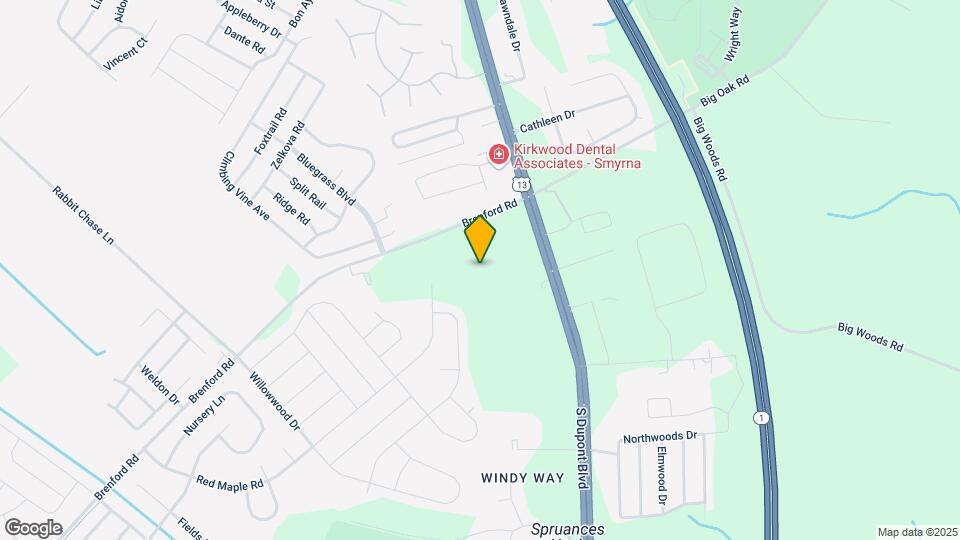 243 Wavyleaf Dr Map and Location Details