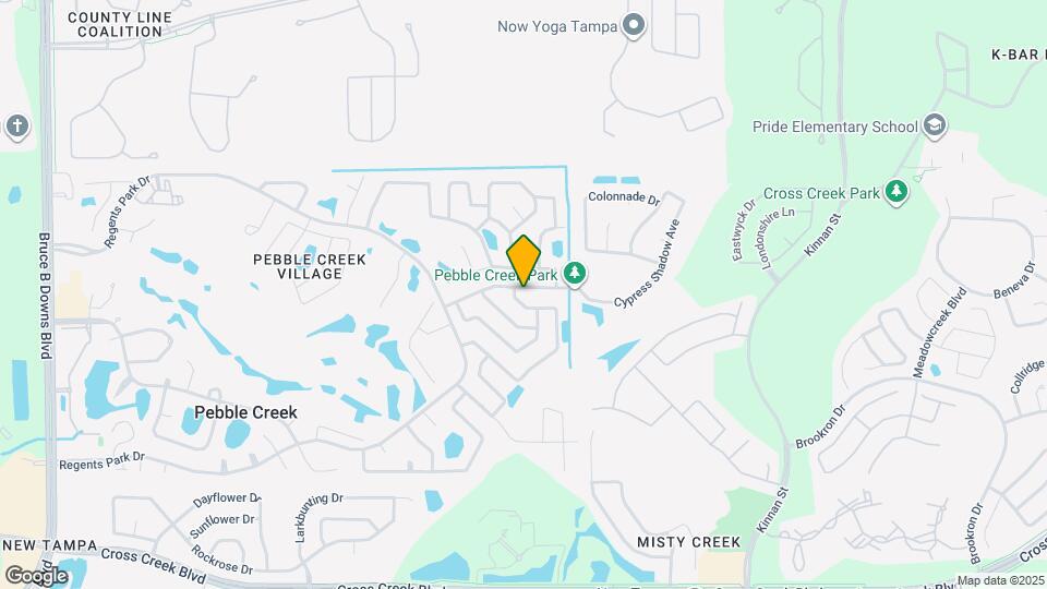 9727 Cypress Shadow Ave Map and Location Details