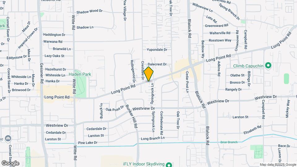 1495 Springrock Ln Mapa y Detalles de la Ubicación