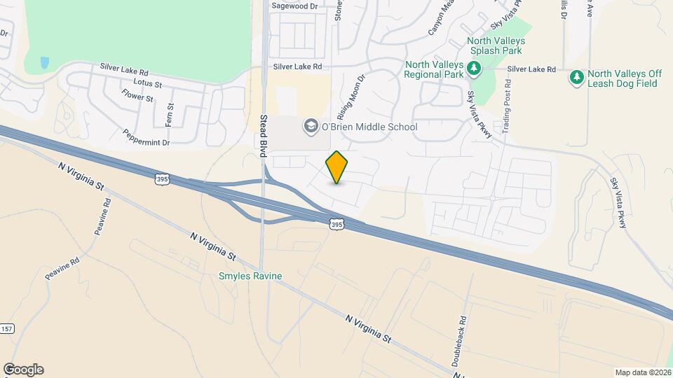 9752 Silver Dollar Ln Map and Location Details