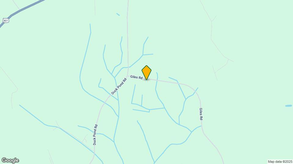10317 Giles Rd Map and Location Details