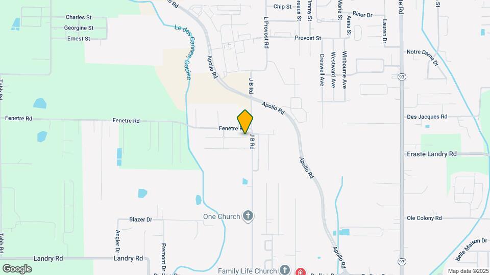 110 Nandina Dr Mapa y Detalles de la Ubicación