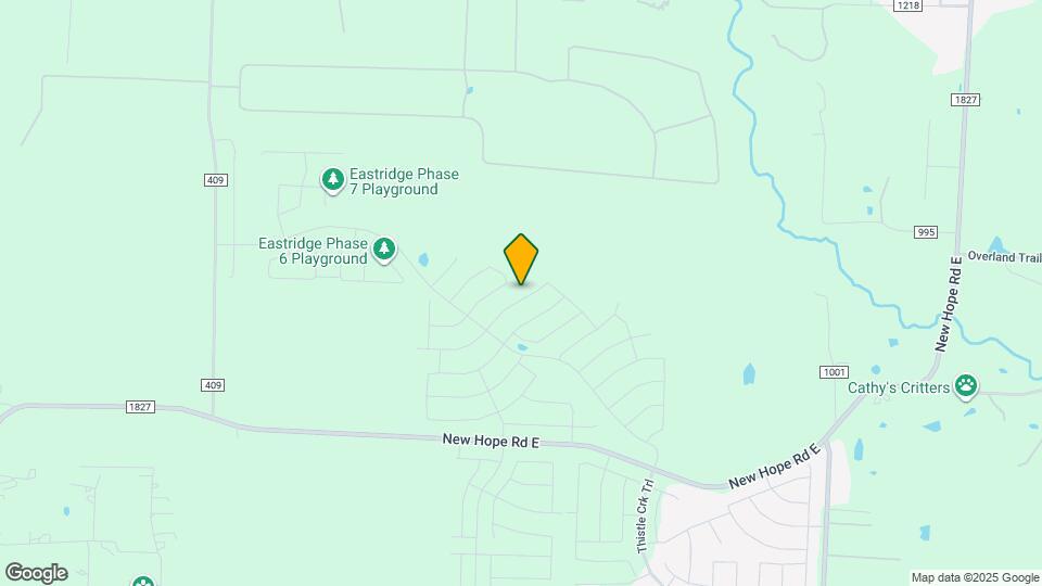 714 London Town Ln Mapa y Detalles de la Ubicación