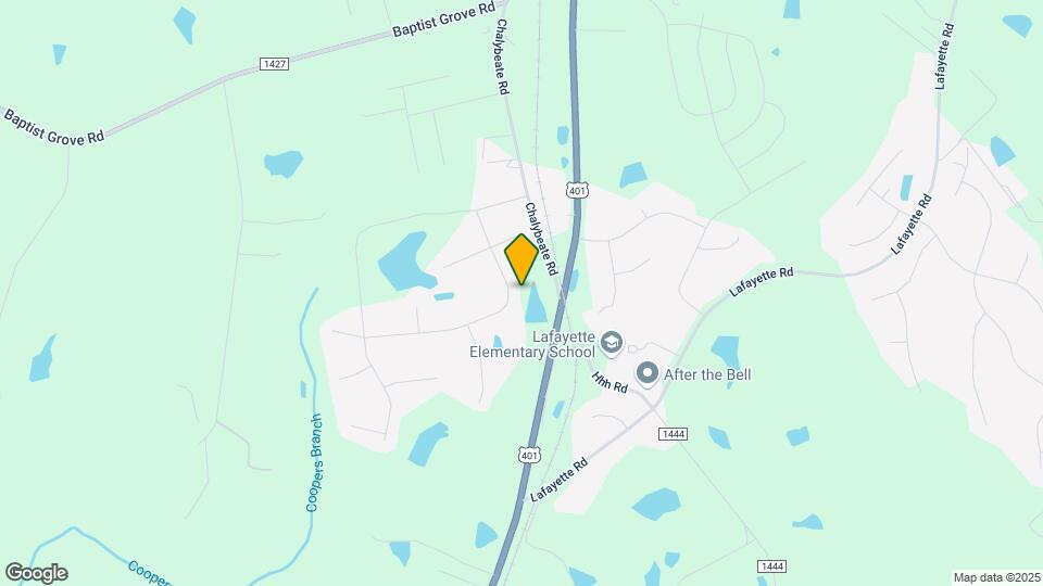 203 Mineral Springs Ln Map and Location Details