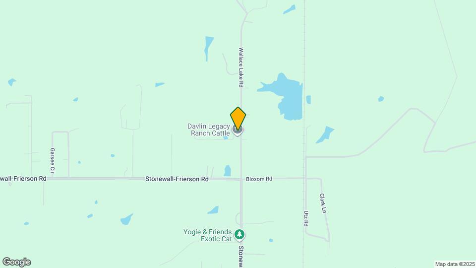 1071 BAYOU BAY COURT Map and Location Details