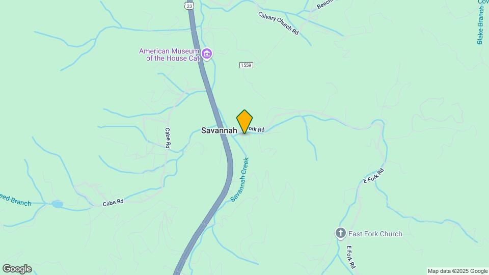 100 E Fork Rd Map and Location Details