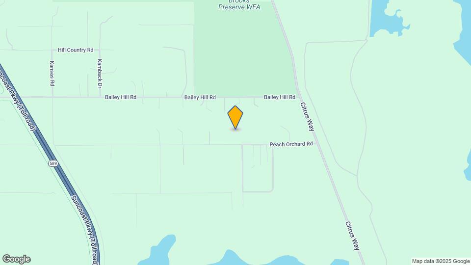 15473 Peach Orchard Rd Rentals in Brooksville, FL