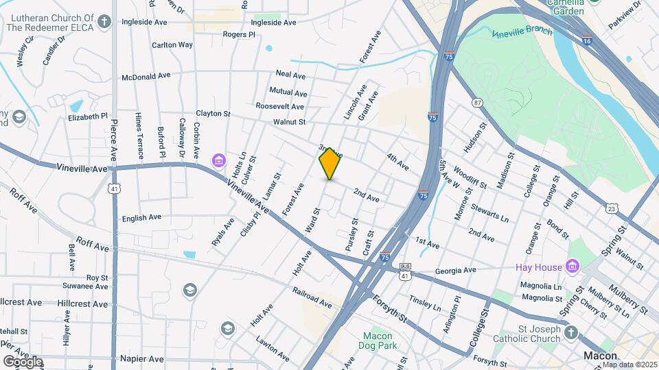 173 Ward St Mapa y Detalles de la Ubicación