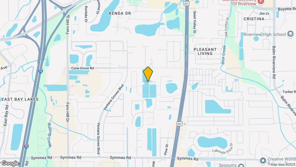 10732 Southern Forest Dr Map and Location Details