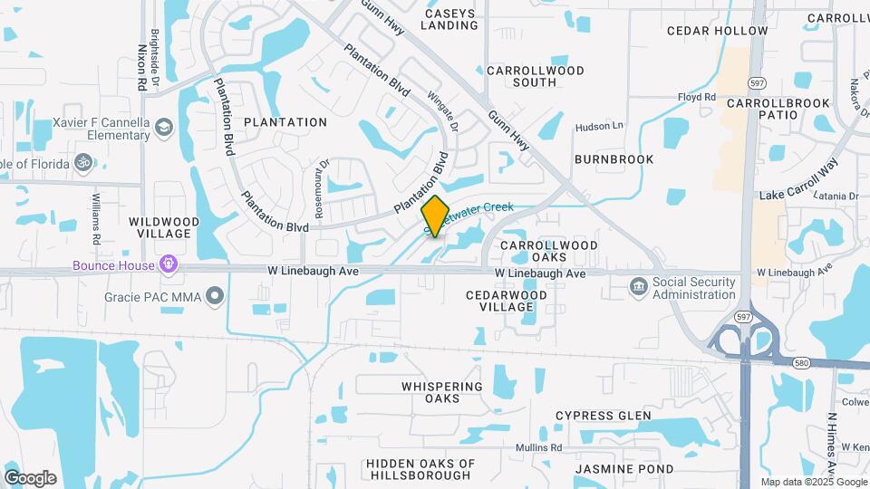 10122 Winsford Oak Blvd | Rentals in Tampa, FL