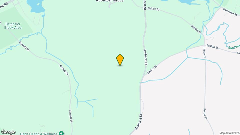 215 Amherst St Mapa y Detalles de la Ubicación