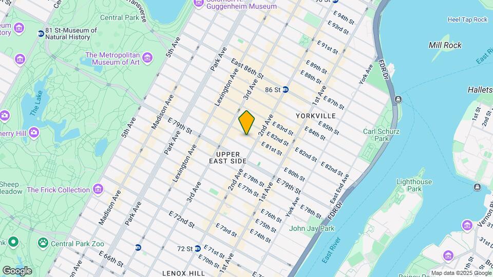 232 E 81st St Mapa y Detalles de la Ubicación