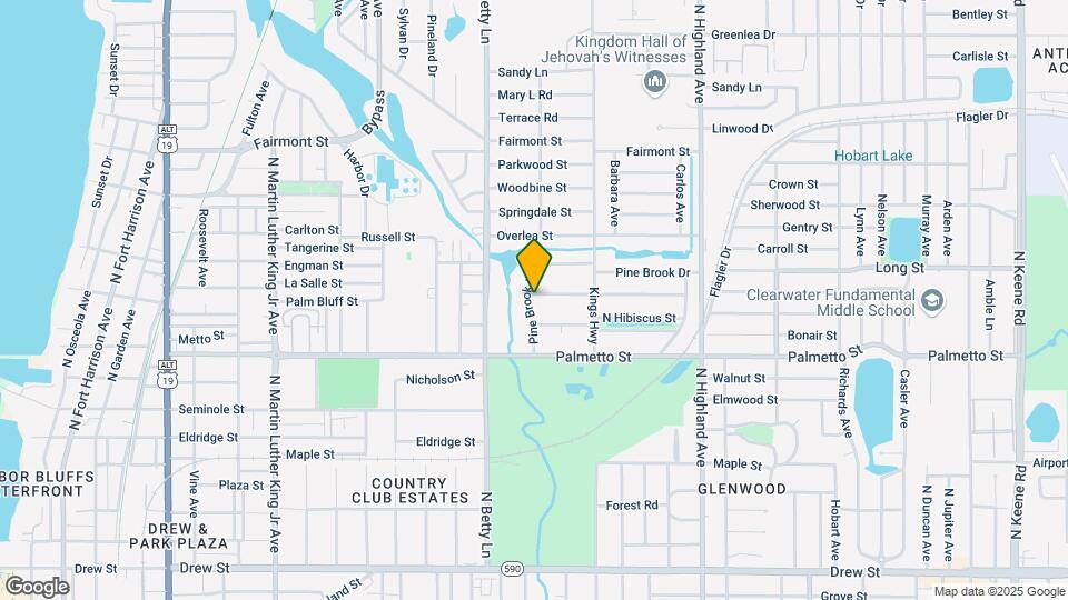 1011 Pine Brook Dr Map and Location Details