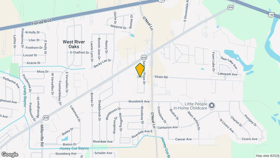 863 Hammond Manor Dr, Unit 863 Hammond Manor Drive Apt D Mapa y Detalles de la Ubicación