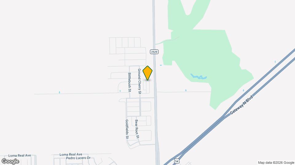 11145 Blazing Star Pl Map and Location Details