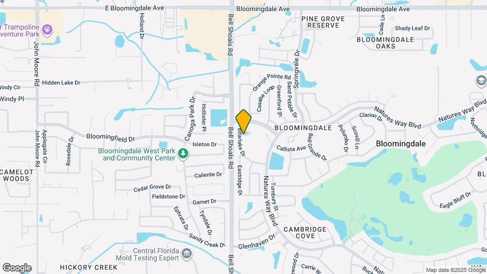 3910 Briarlake Dr Mapa y Detalles de la Ubicación