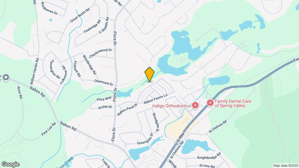 1189 Rabon Pond Dr Map and Location Details