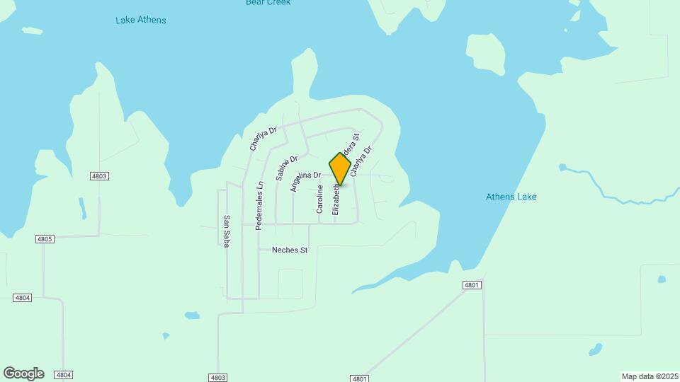 3500 Elizabeth Rentals in Athens, TX