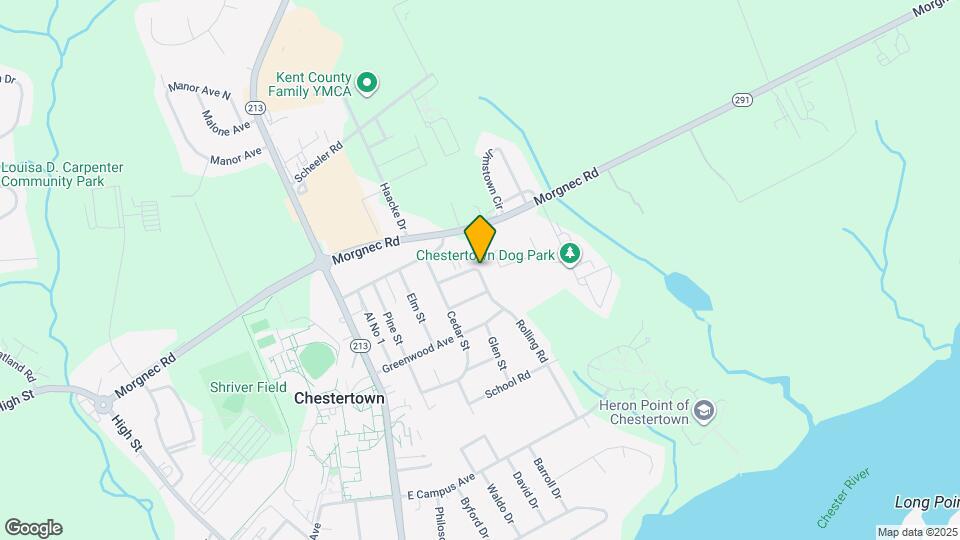 319 Holly Ct Mapa y Detalles de la Ubicación