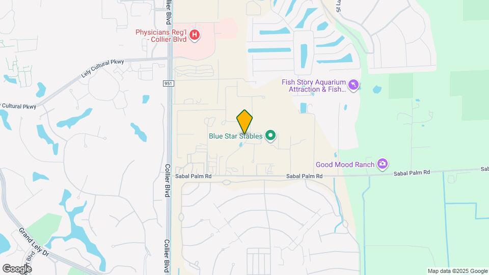 331 Tamarindo Ln Map and Location Details