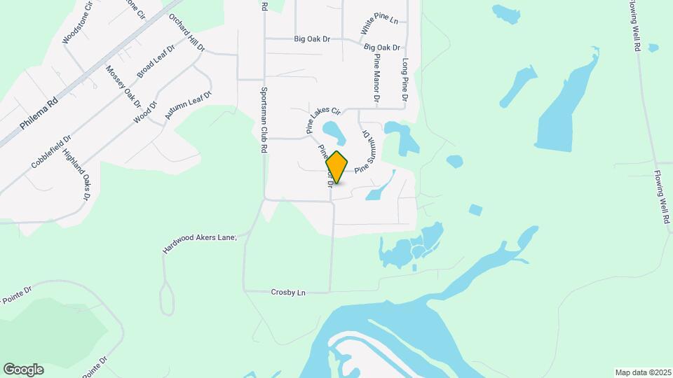 137 Pine Arbor Dr Mapa y Detalles de la Ubicación