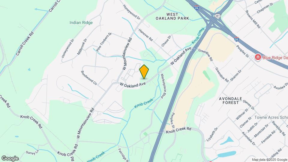 Vintage Johnson City Mapa y Detalles de la Ubicación