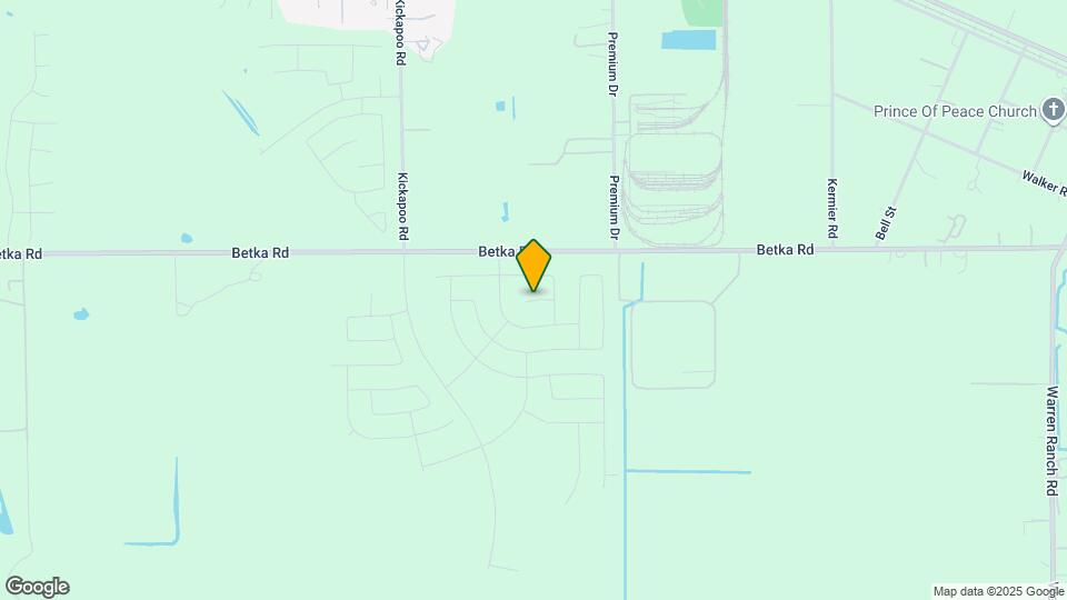 28702 Grand Mesquite Ln Map and Location Details