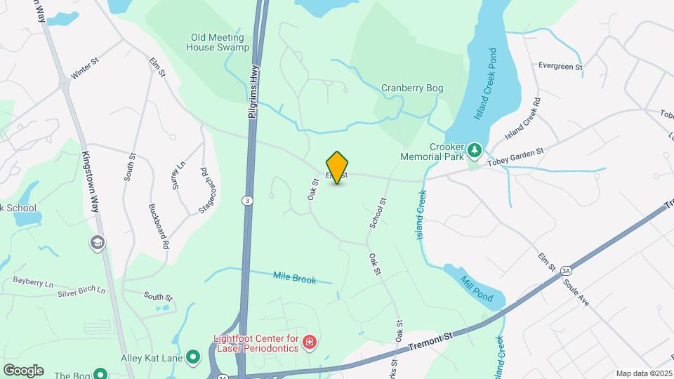 290 Elm St Map and Location Details