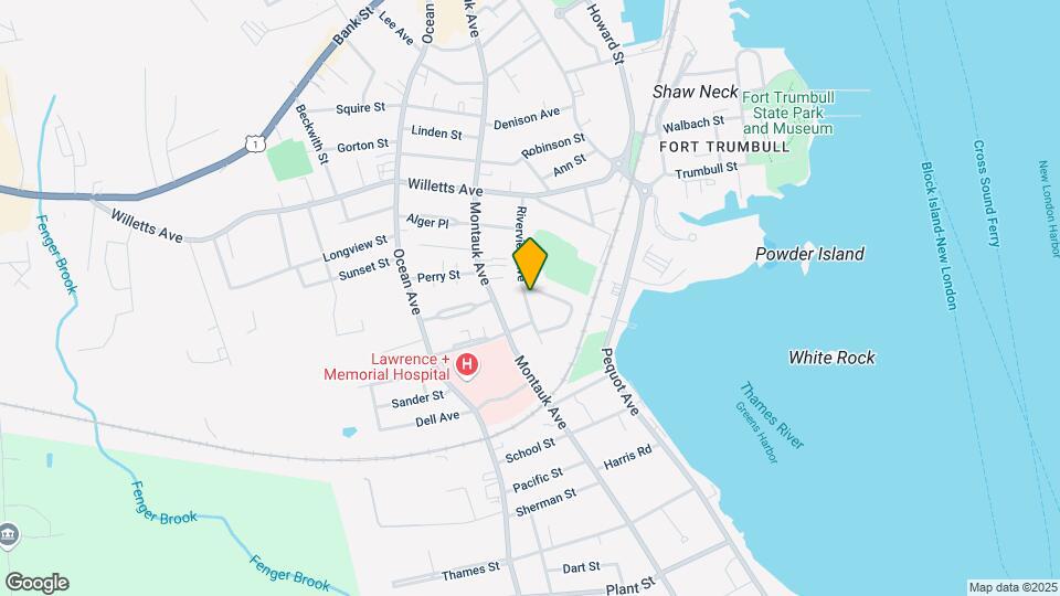 88 Riverview Ave Mapa y Detalles de la Ubicación