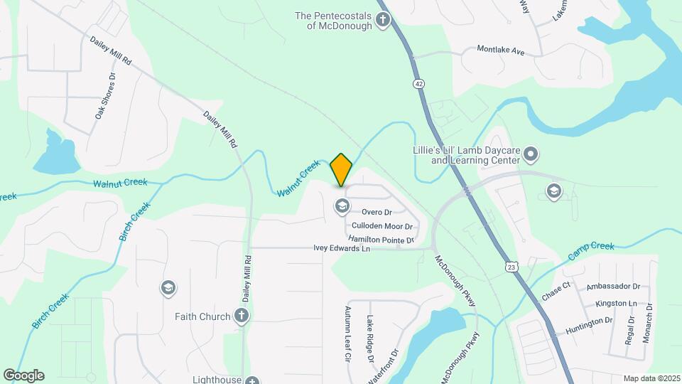 219 Hamilton Pointe Dr Mapa y Detalles de la Ubicación