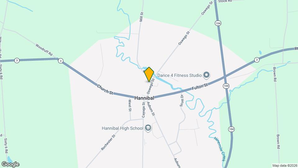 156 Oswego St Map and Location Details