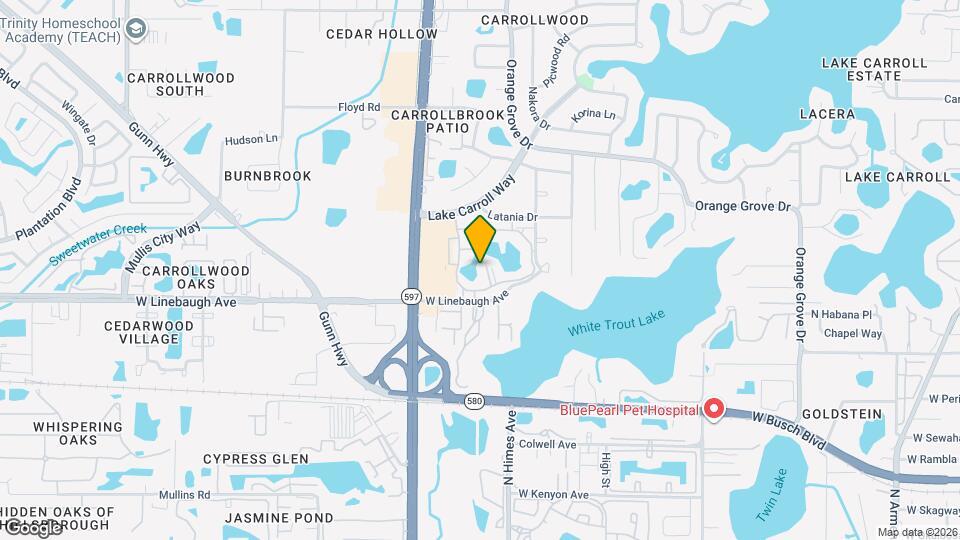 10346 Carrollwood Ln Map and Location Details