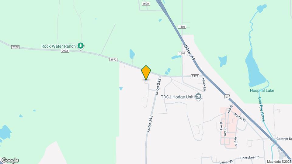 195 Summer Breeze St Mapa y Detalles de la Ubicación