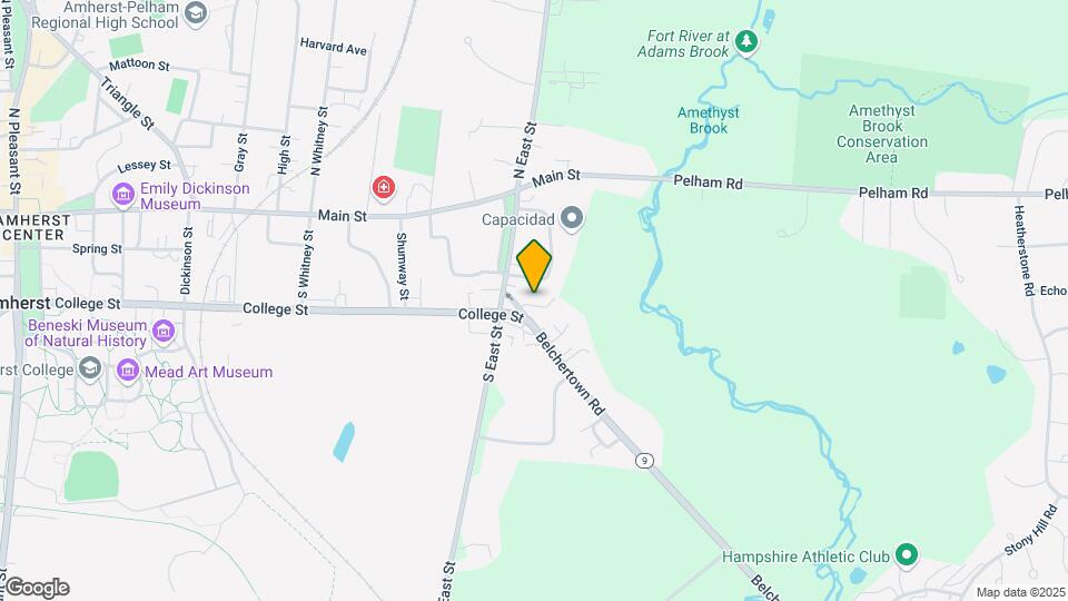 10 Belchertown Rd Map and Location Details