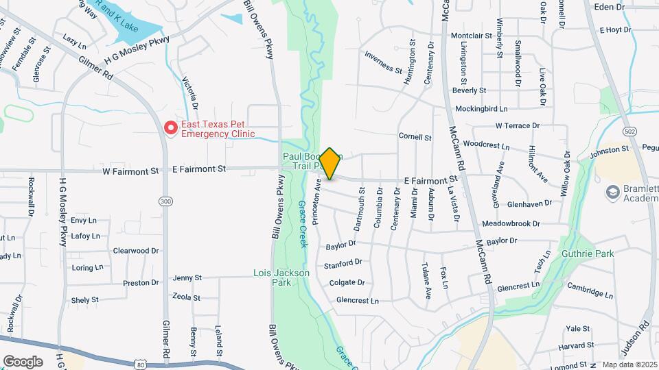 1321 Carnegie Dr Map and Location Details