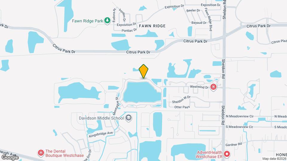 9126 Lake Chase Island Way Map and Location Details