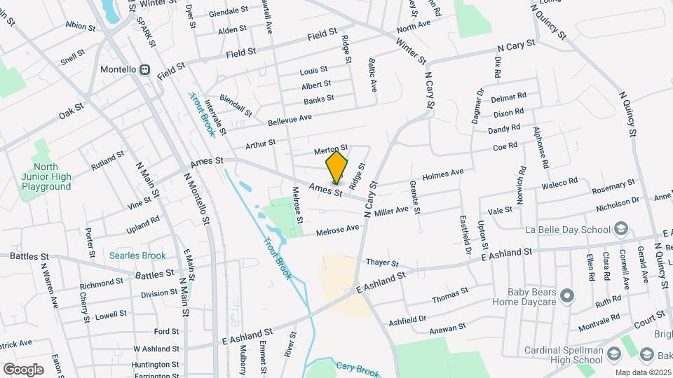 256 Ames St Map and Location Details