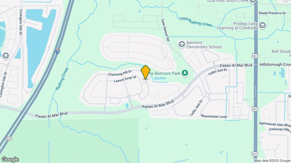 9663 Channing Hill Dr Map and Location Details