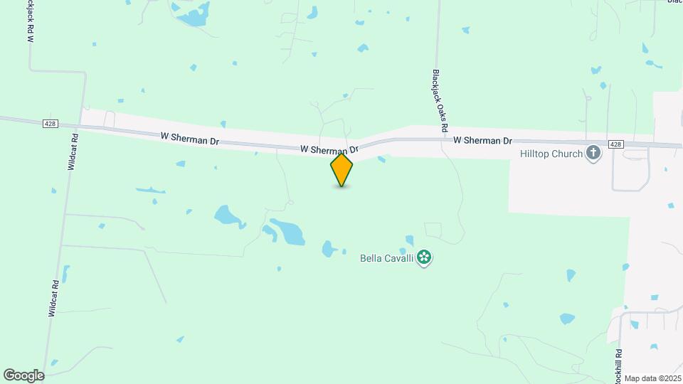 3121 Burmese St Map and Location Details