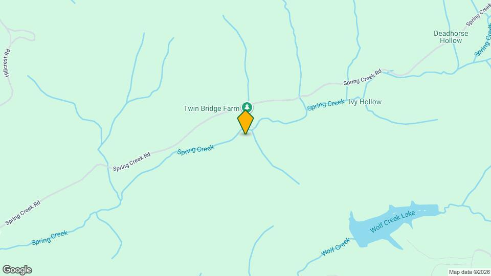 125 Spring Creek Ln Map and Location Details