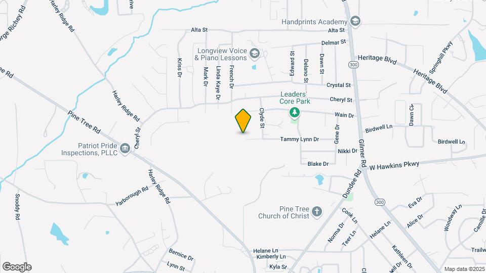 513 Tammy Lynn Dr Map and Location Details