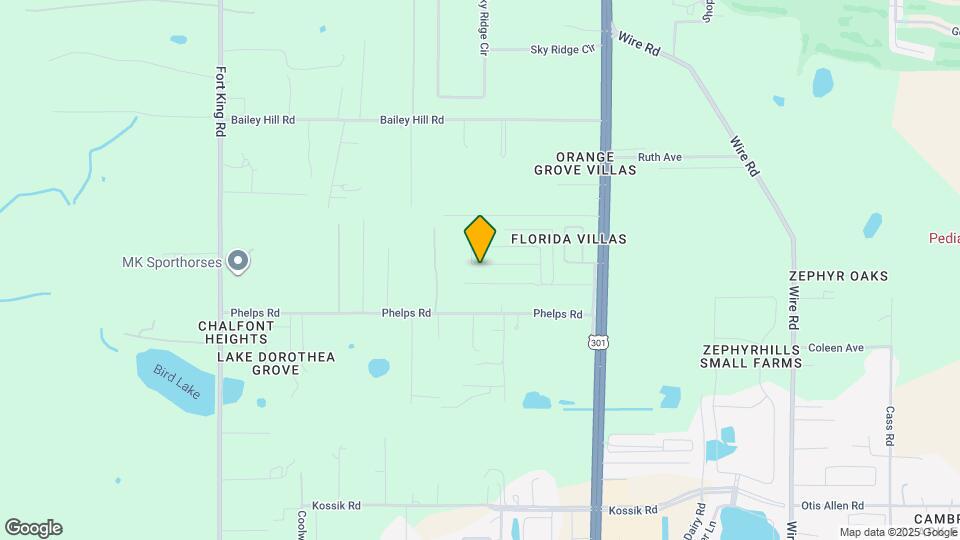 37674 Rattle Snake Trl Mapa y Detalles de la Ubicación