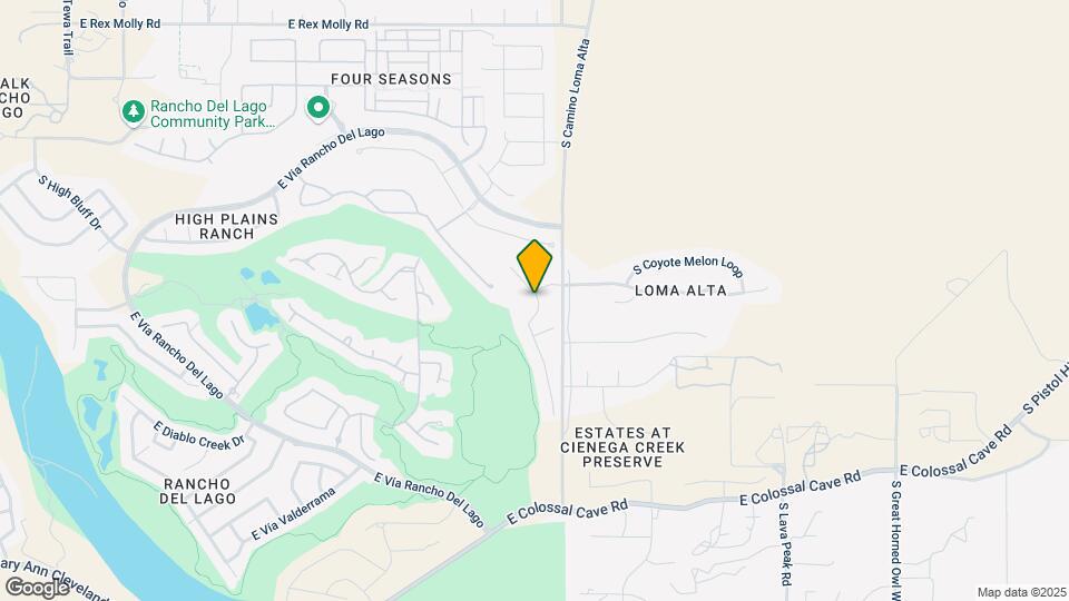 10598 S Avenida Lago De Plata Map and Location Details