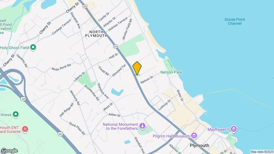 207 Court St, Unit 207 Mapa y Detalles de la Ubicación