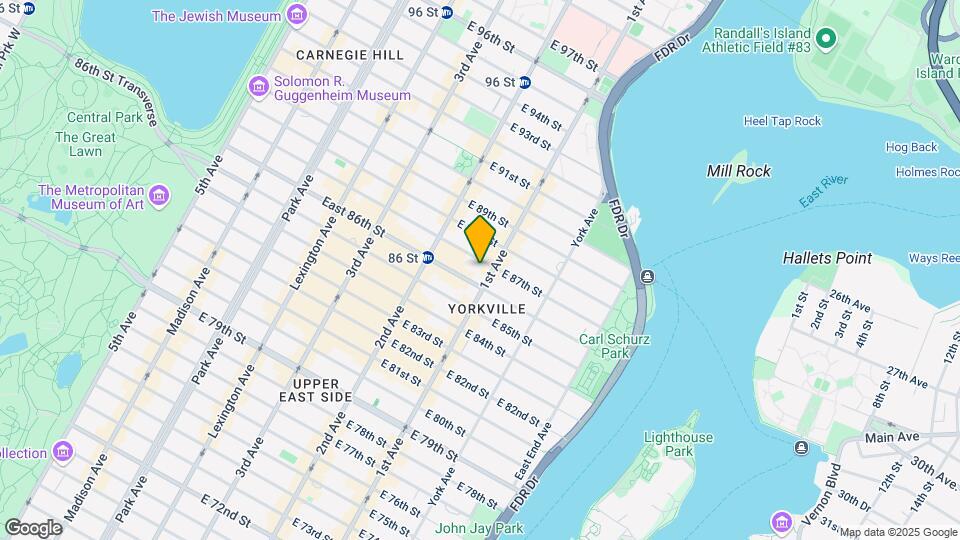 354 E 87th St Map and Location Details